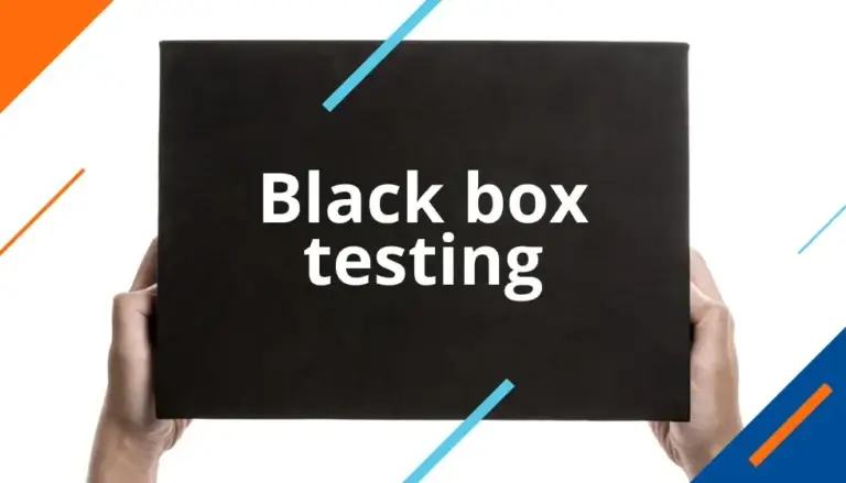 Black box testing in review