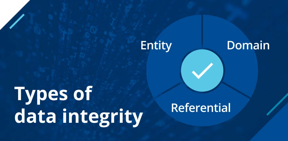 data integrity types