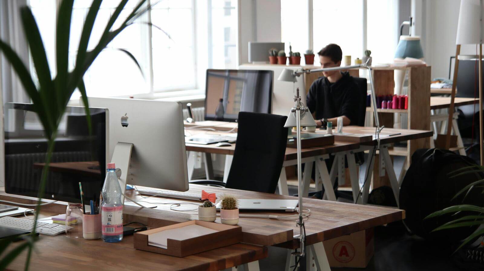 Software testing strategies