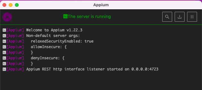 appium server