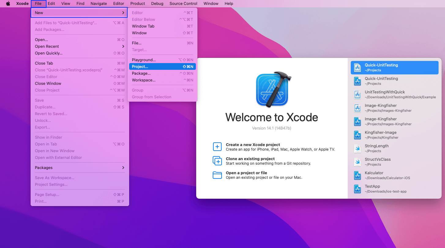 alamore project setup