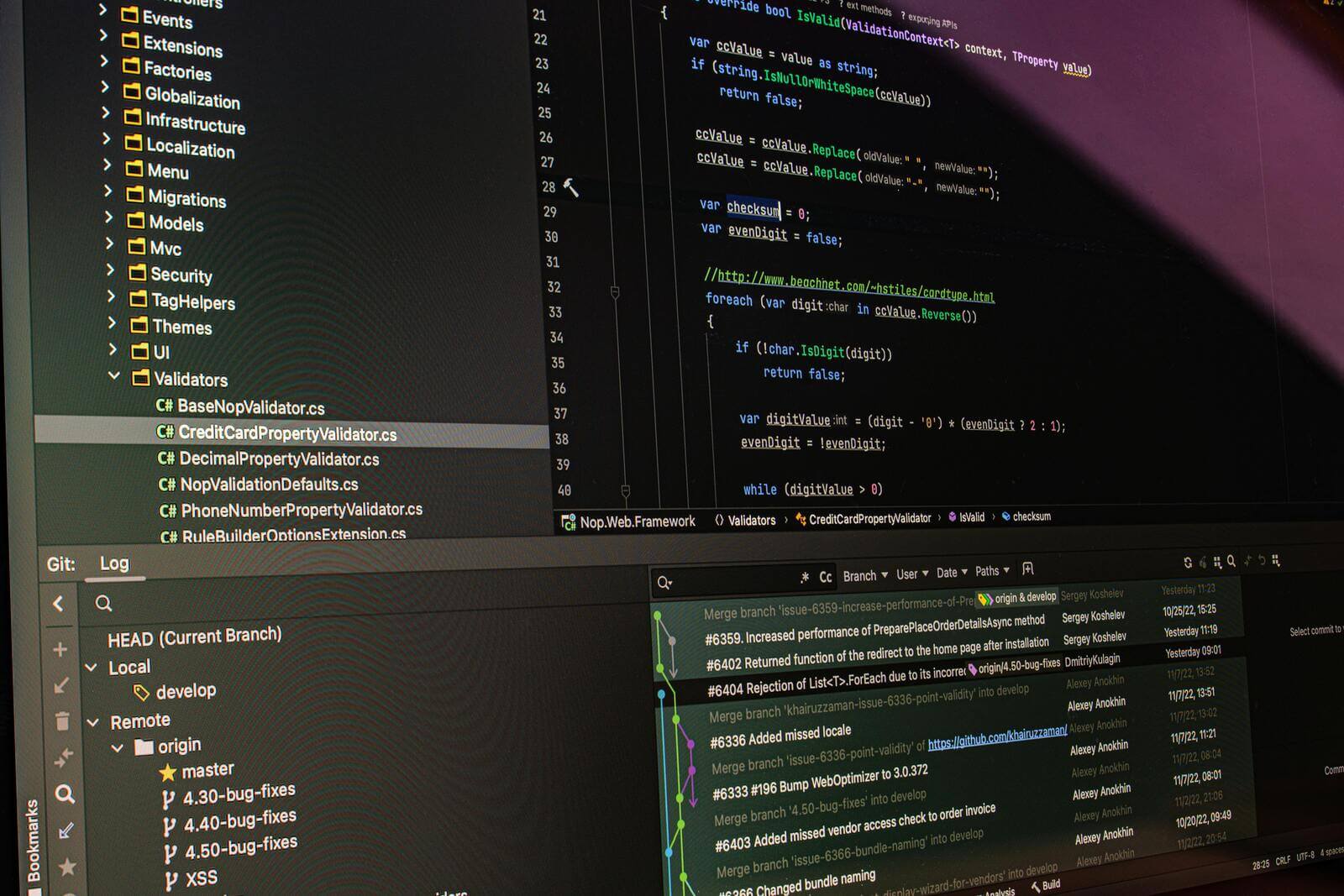 continuous integration